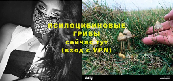 скорость Алексеевка