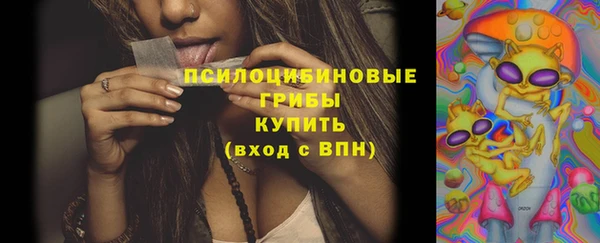 таблы Алзамай