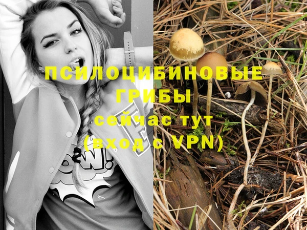 меф Абинск