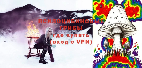 дмт Надым