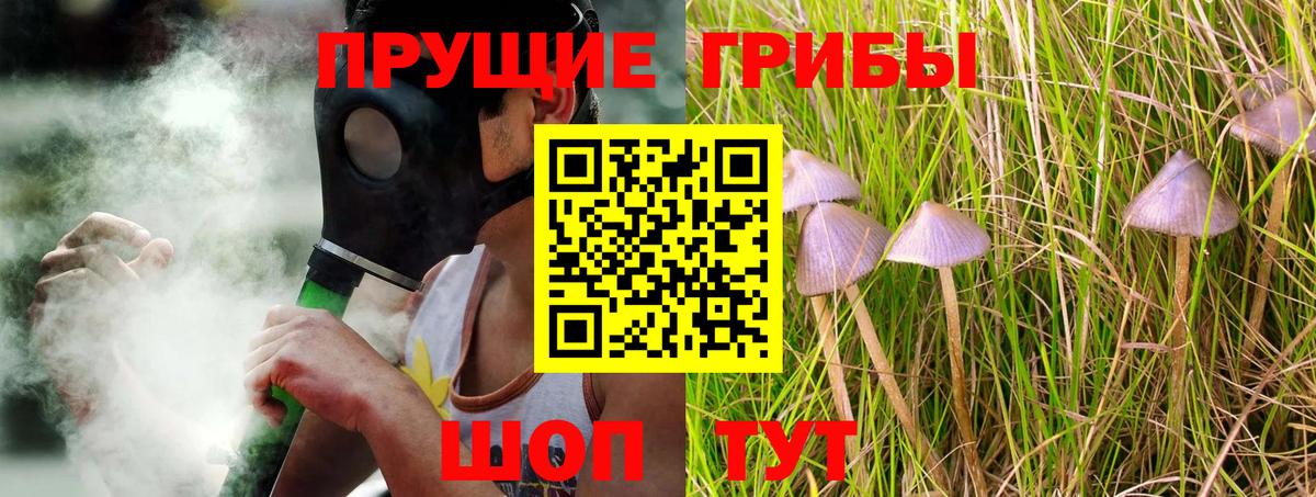 Галлюциногенные грибы GOLDEN TEACHER  продажа наркотиков  Сыктывкар  Вход с VPN 